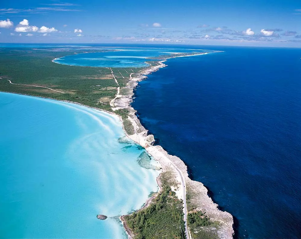 The Bahamas 